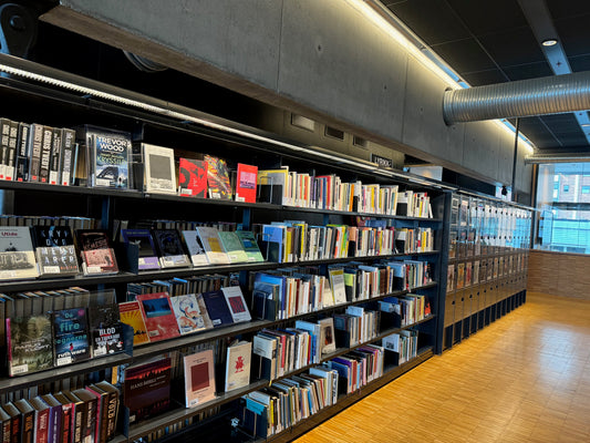 Finn Willy/ finn Tusenfryd på Hamar bibliotek