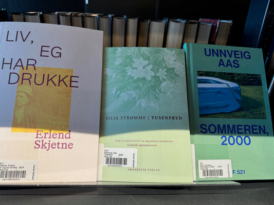 Tusenfryd på Hamar bibliotek